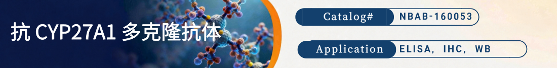 抗CYP27A1抗体 抗CYP27A1抗体