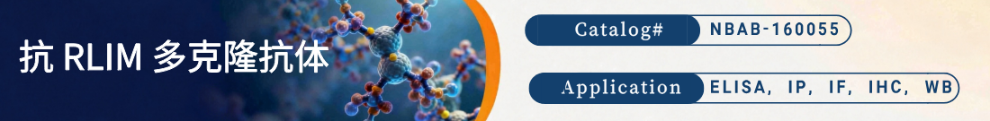 抗RLIM抗体 抗RLIM抗体