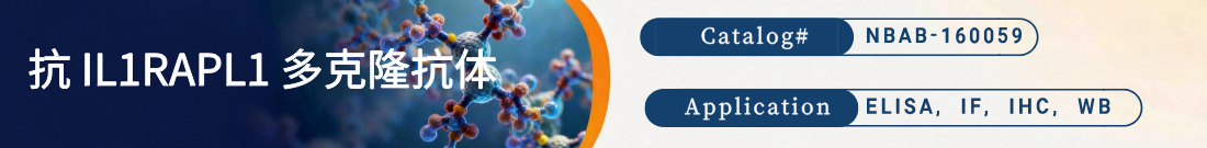 抗IL1RAPL1抗体 抗IL1RAPL1抗体