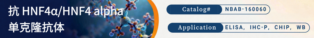 抗HNF4 alpha抗体 抗HNF4 alpha抗体