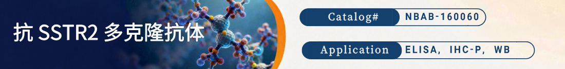 抗SSTR2抗体