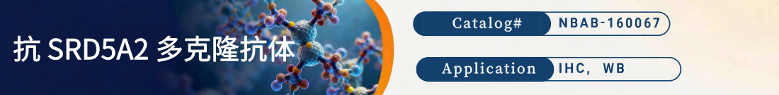 抗大鼠SRD5A2抗体 抗大鼠SRD5A2抗体