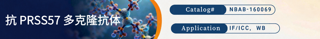 抗PRSS57抗体 抗PRSS57抗体
