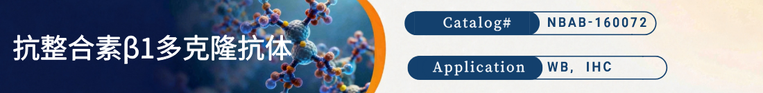 抗IntegrinBeta 1抗体