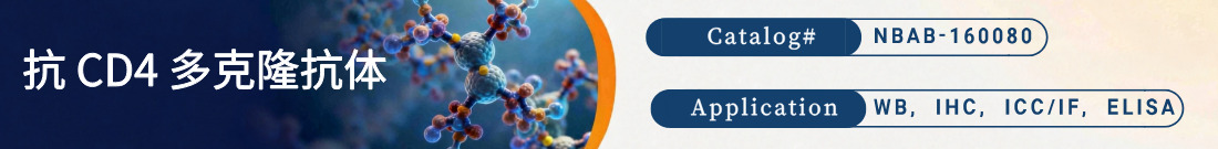 抗Zebrafish CD4抗体 抗Zebrafish CD4抗体