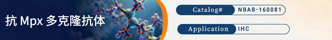 抗Zebrafish Mpx抗体