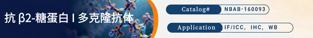 抗Mouseβ2GP1抗体