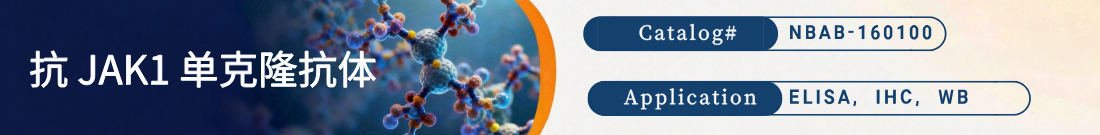抗JAK1抗体