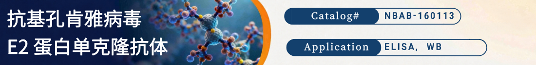 抗Chikungunya Virus (CHIKV) E2抗体 抗Chikungunya Virus (CHIKV) E2抗体