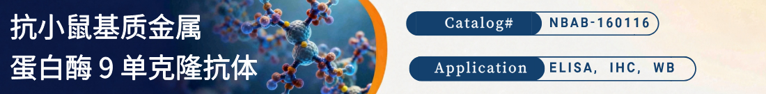 抗小鼠MMP9抗体 抗小鼠MMP9抗体