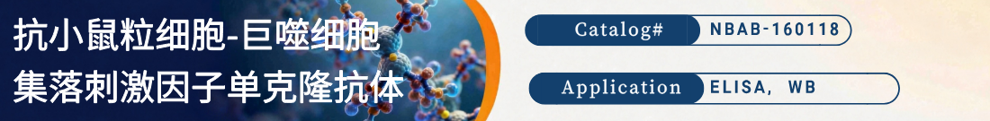 抗小鼠GM-CSF抗体