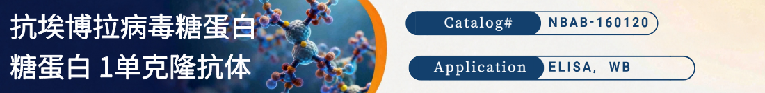 抗埃博拉病毒糖蛋白/糖蛋白 1抗体