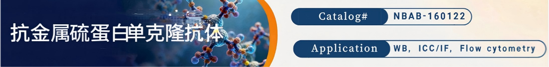 抗金属硫蛋白抗体