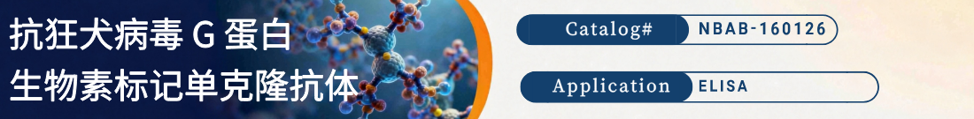 抗狂犬病毒 G 蛋白抗体