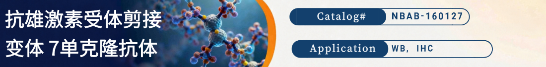 抗雄激素受体剪接变体 7（AR-V7）抗体