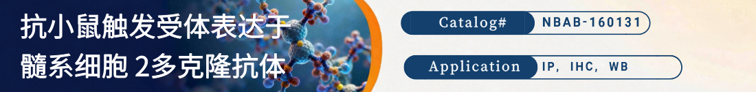 抗小鼠TREM2抗体 抗小鼠TREM2抗体