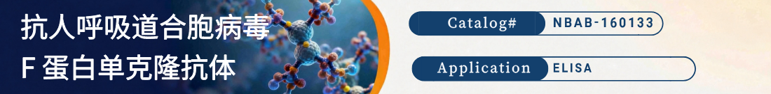 抗人呼吸道合胞病毒 F 蛋白抗体 抗人呼吸道合胞病毒 F 蛋白抗体