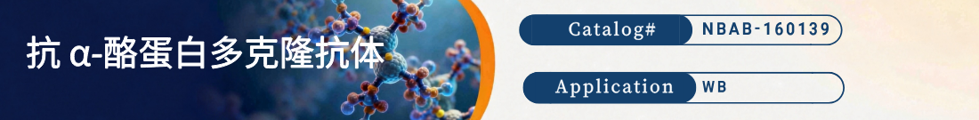 抗α-酪蛋白抗体 抗α-酪蛋白抗体