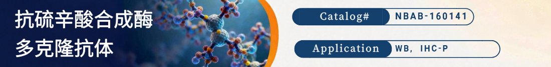 抗硫辛酸合成酶抗体