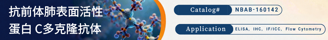 抗前体肺表面活性蛋白 C抗体 抗前体肺表面活性蛋白 C抗体