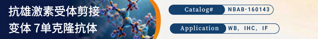 抗雄激素受体剪接变体 7抗体