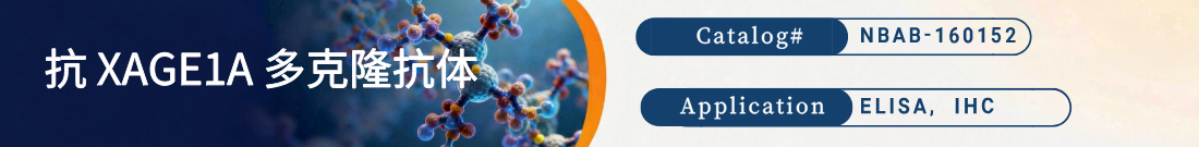 抗XAGE1A抗体
