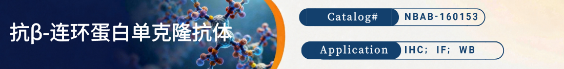 抗β-连环蛋白抗体 抗β-连环蛋白抗体