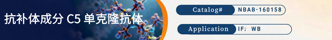 抗C5抗体