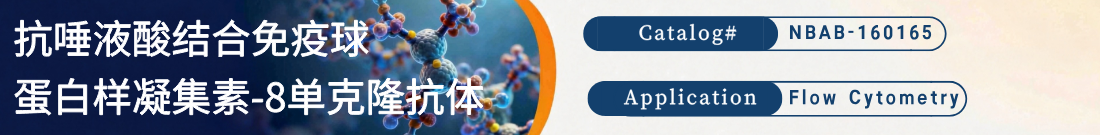 抗人Siglec-8抗体 抗人Siglec-8抗体