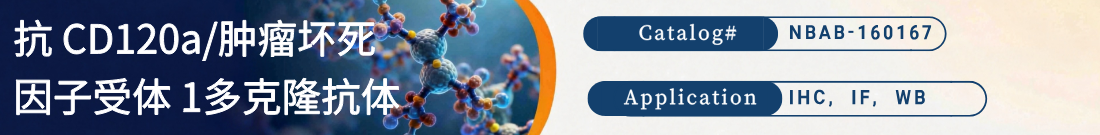 抗CD120a/肿瘤坏死因子受体 1抗体