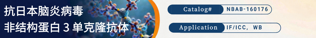 抗日本脑炎病毒非结构蛋白 3抗体