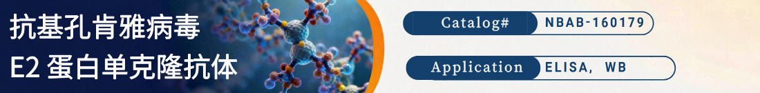 抗基孔肯雅病毒 E2 蛋白抗体 抗基孔肯雅病毒 E2 蛋白抗体