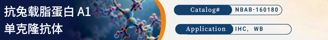 抗兔载脂蛋白 A1抗体 抗兔载脂蛋白 A1抗体