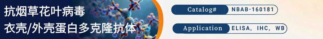 抗烟草花叶病毒衣壳/外壳蛋白抗体
