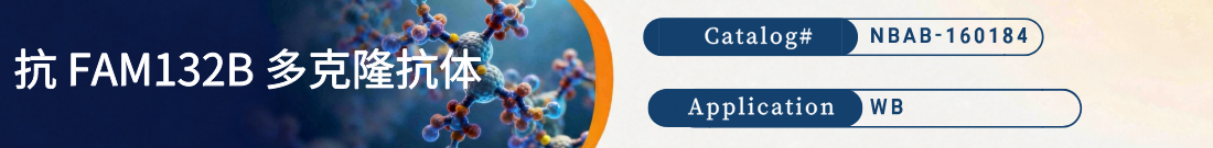 抗FAM132B抗体