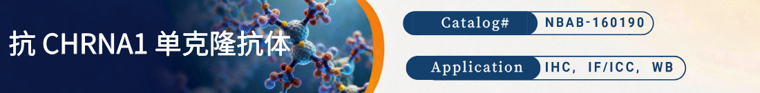 抗CHRNA1抗体 抗CHRNA1抗体