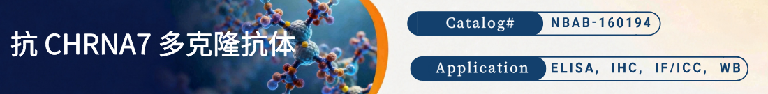 抗CHRNA7抗体 抗CHRNA7抗体