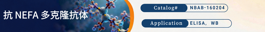 抗NEFA抗体 抗NEFA抗体