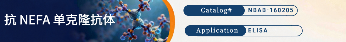 抗NEFA抗体