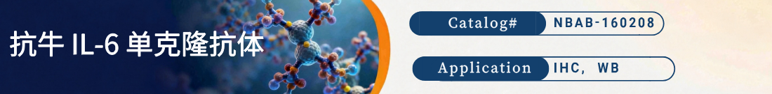 抗牛IL-6抗体 抗牛IL-6抗体