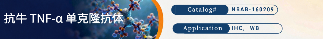 抗牛TNF-抗体