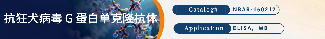 抗狂犬病毒 G 蛋白抗体