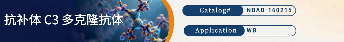 抗补体C3抗体