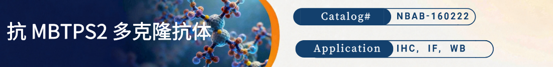 抗MBTPS2抗体 