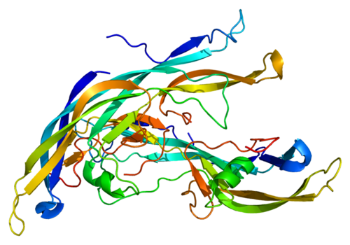 Protein_FSHB_PDB_1fl7.png